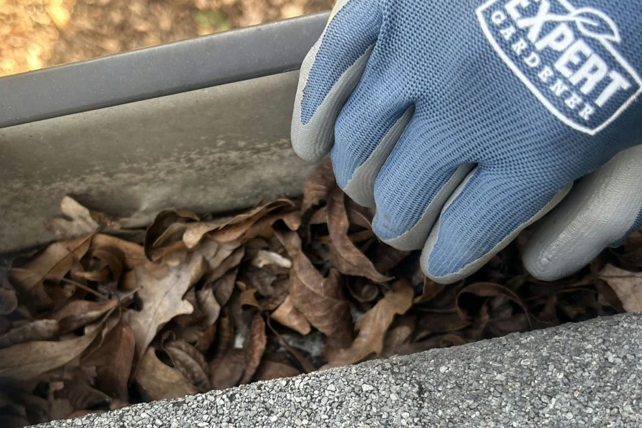 Gutter Cleaning Humble, TX