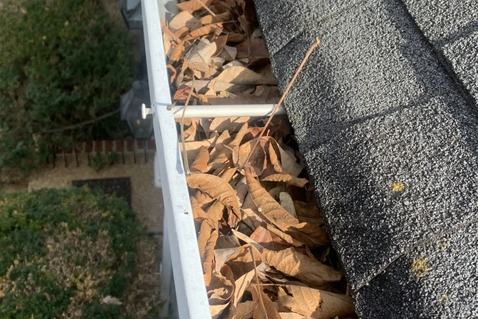 Gutter Cleaning Humble, TX